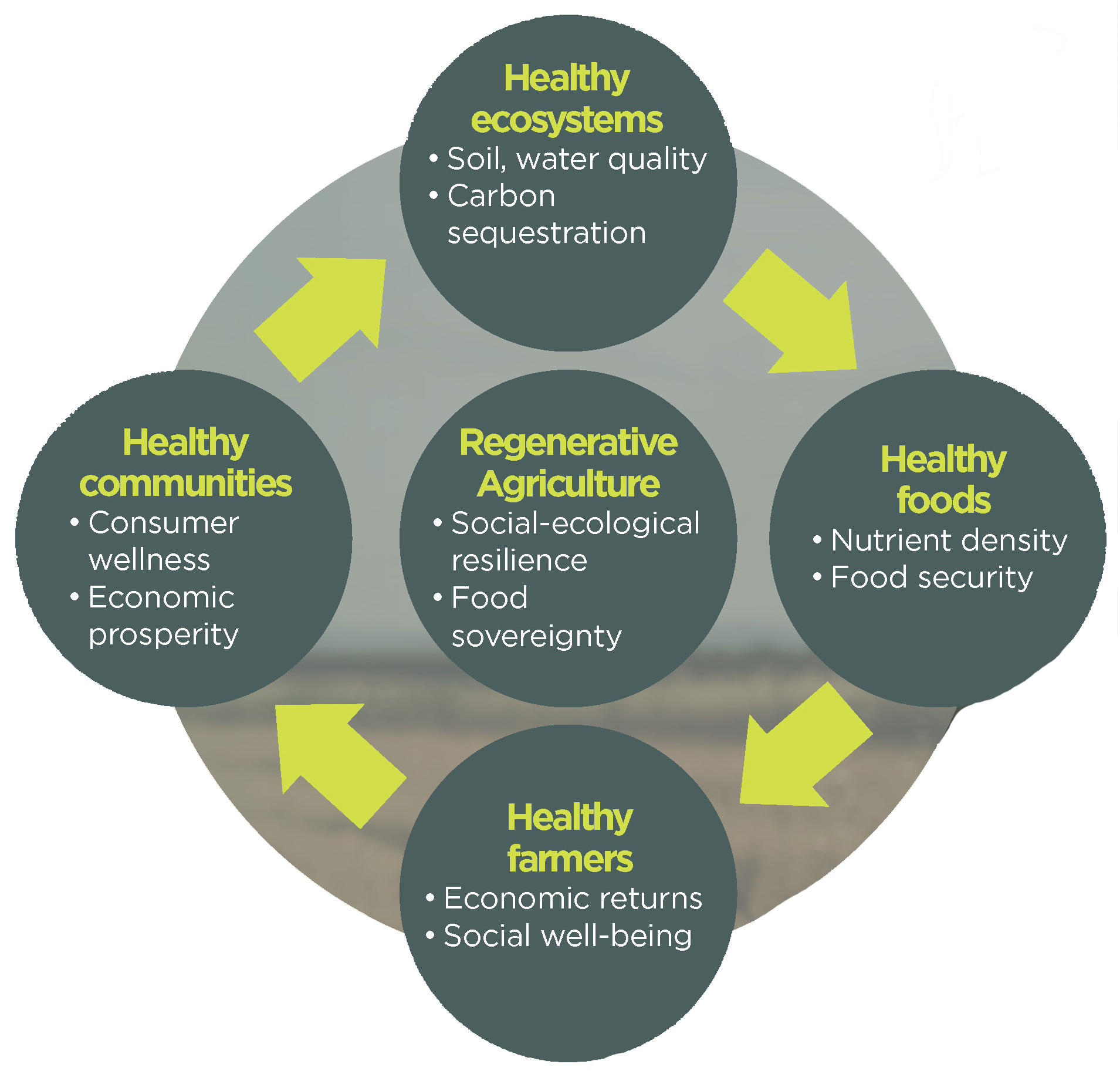 Regenerative Ag Graphic